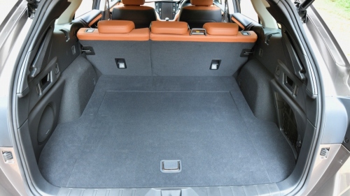 画像ギャラリー