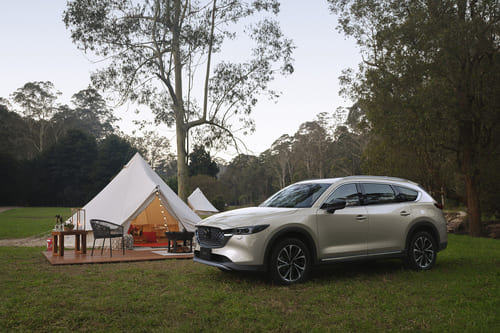 カテゴリー2：個性がかっこいい「スタイリッシュ＆ラグジュアリー系SUV」