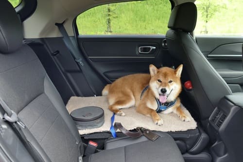 上級SUVにヒケを取らない!ヴェゼル史上最高の乗り心地