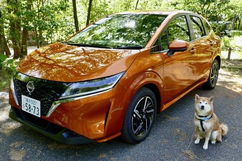 顔まわりはアリアからセレナに？