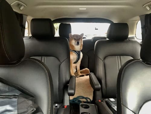 同時に4車型できました!とはならない