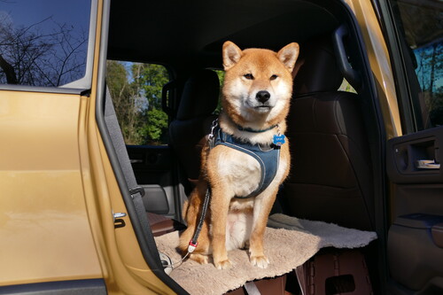 オンロードでも最新の上級セダンにもヒケをとらない乗り心地