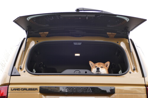 十分なセカンドシート、電動格納できるサードシートも便利