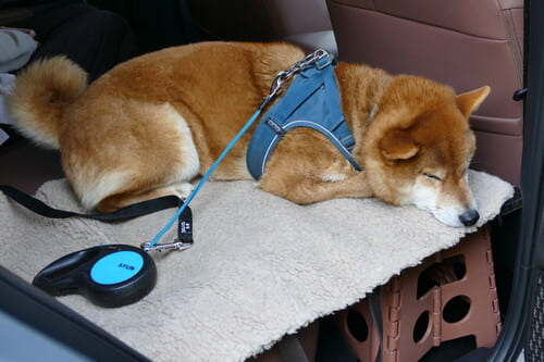 圧倒的に向上した乗り心地と静粛性