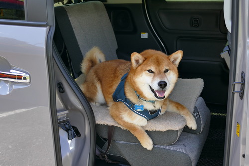 スーパーハイトではないことの価値