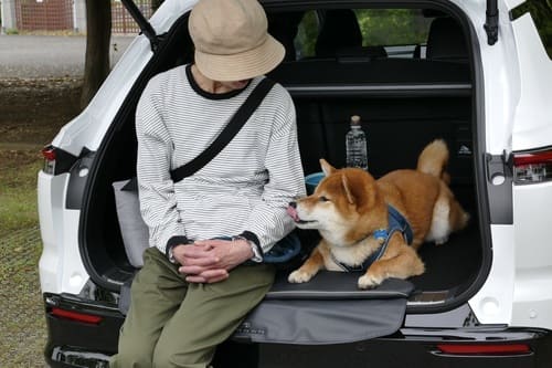 歴代モデルと同じく、心を豊かにしてくれそうなクルマ