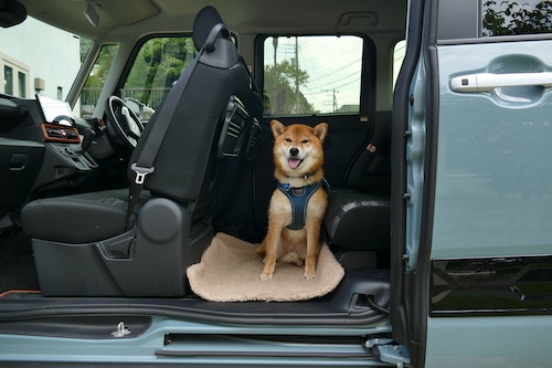 ダイハツ人気軽自動車_202510