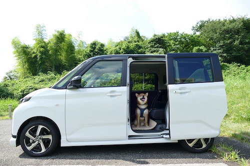 ダイハツ人気軽自動車_202510