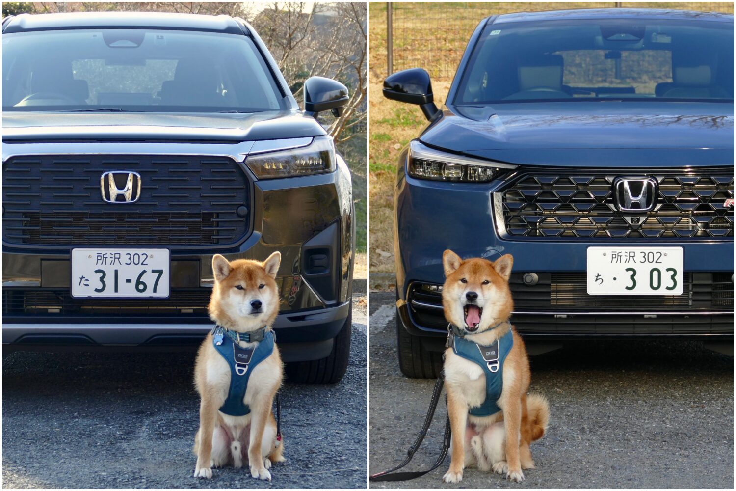 ホンダヴェゼルRS & WR-V試乗記_202602カートモ