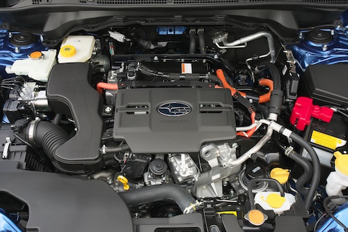 Forester vs RAV4 202606